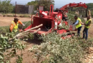 Vegetation & Forestry Management