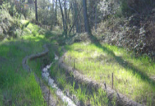Land Restoration