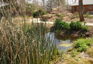 Low Impact Landscapes